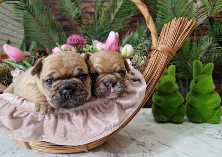 20240329 042958 004 saved scaled