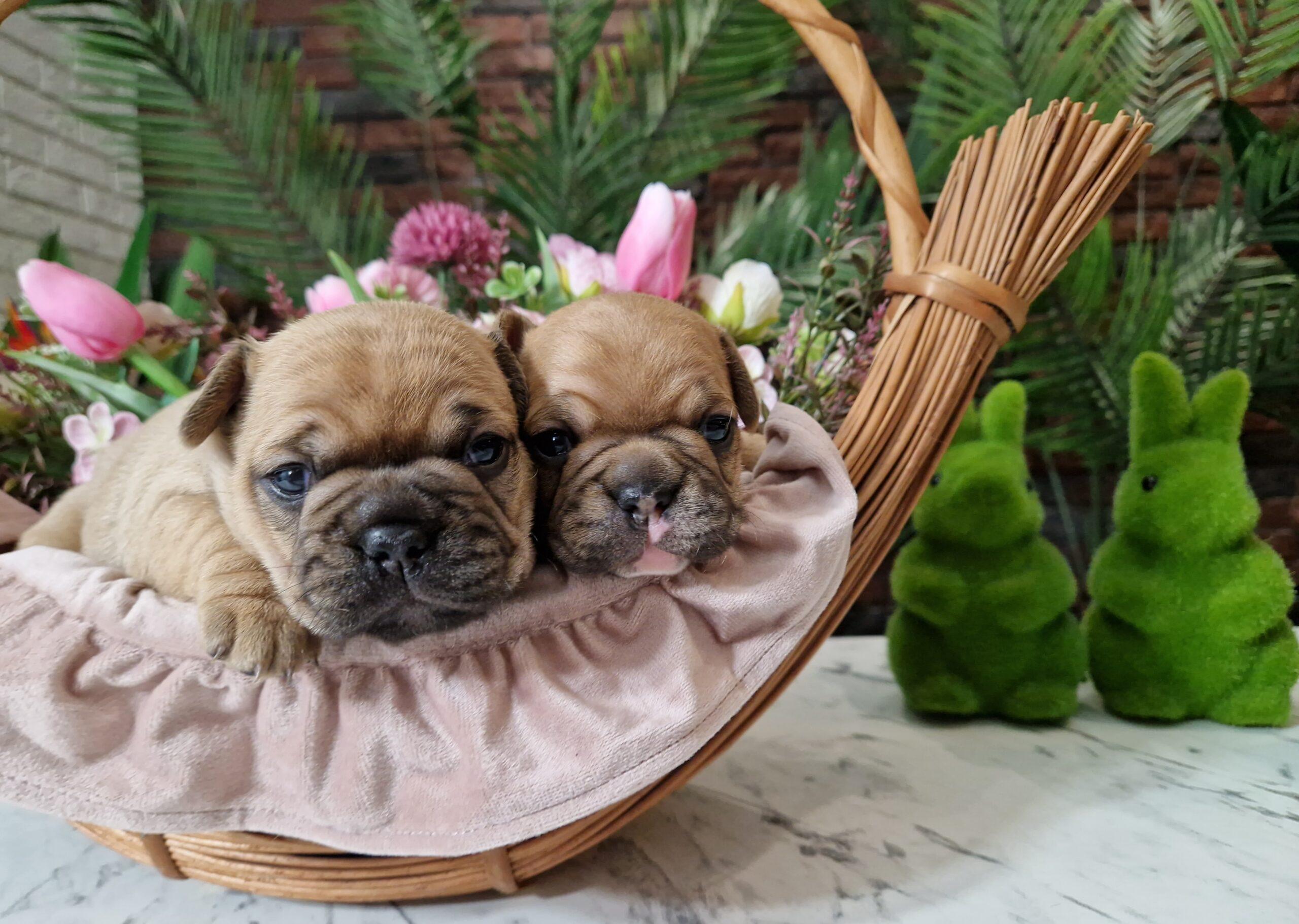 20240329 042958 004 saved scaled