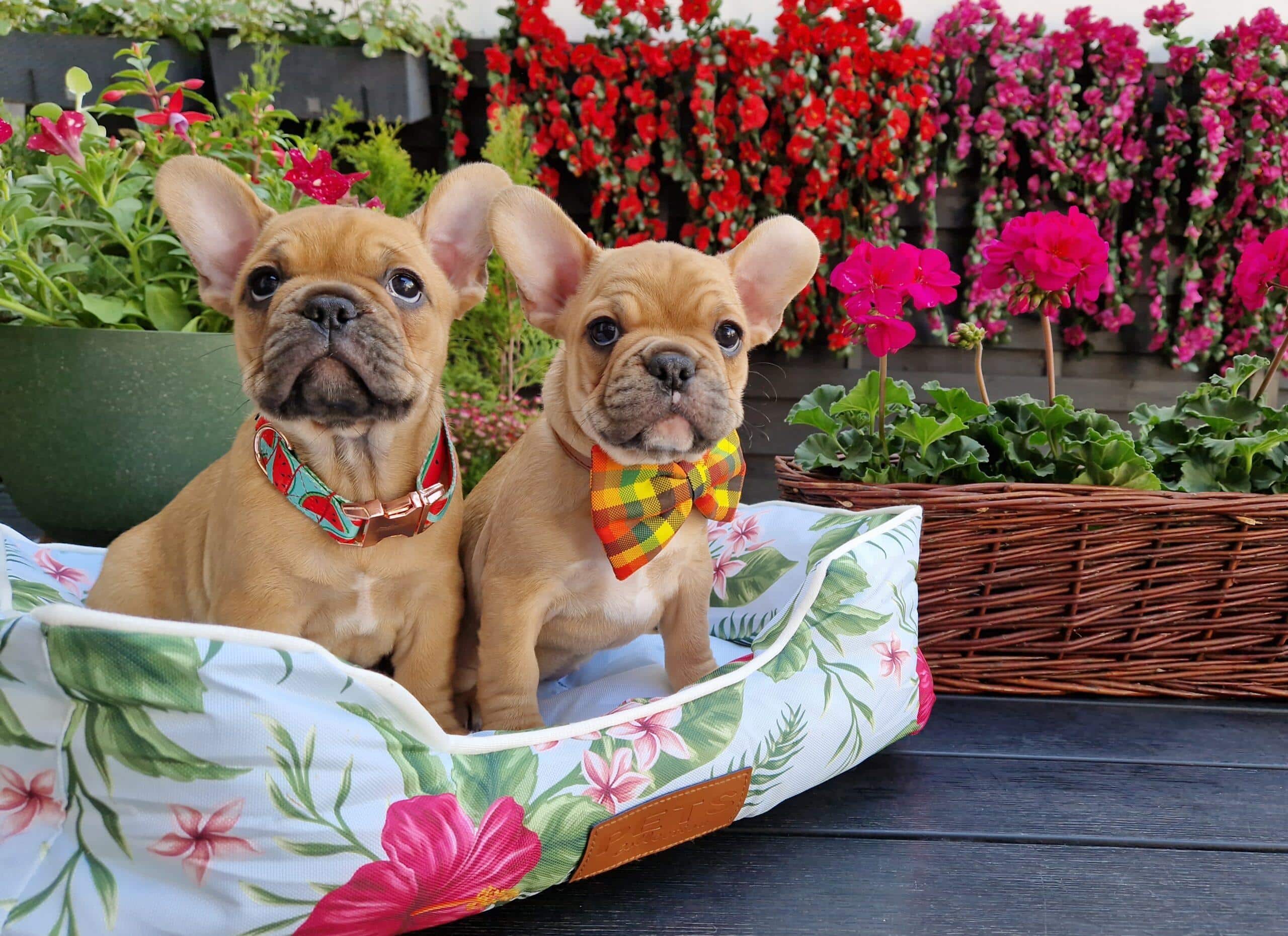 20240427 114047 002 saved scaled