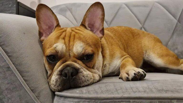 Nie wszystko złoto…