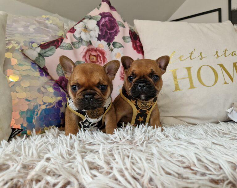 20240511 133752 006 saved scaled