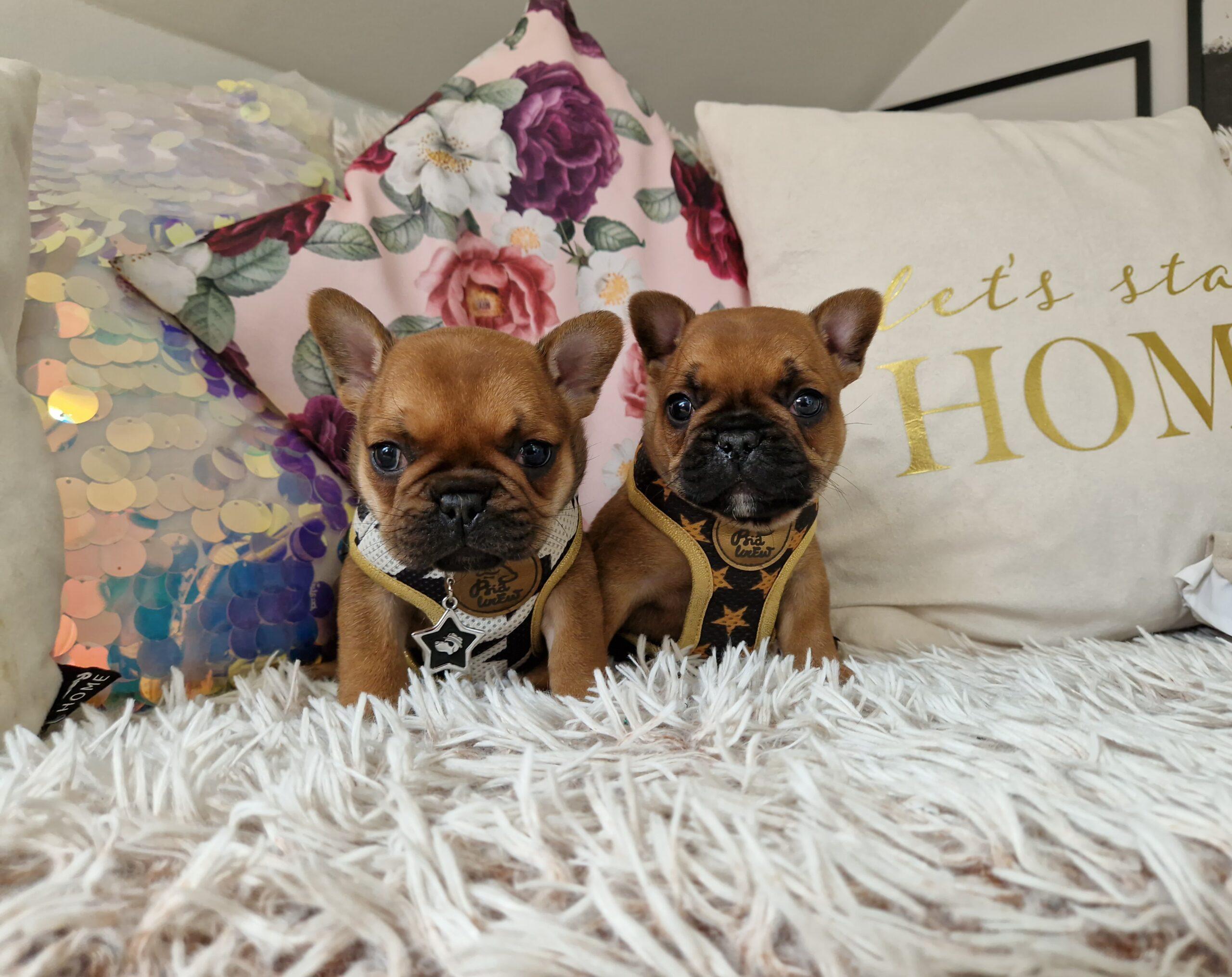 20240511 133752 006 saved scaled