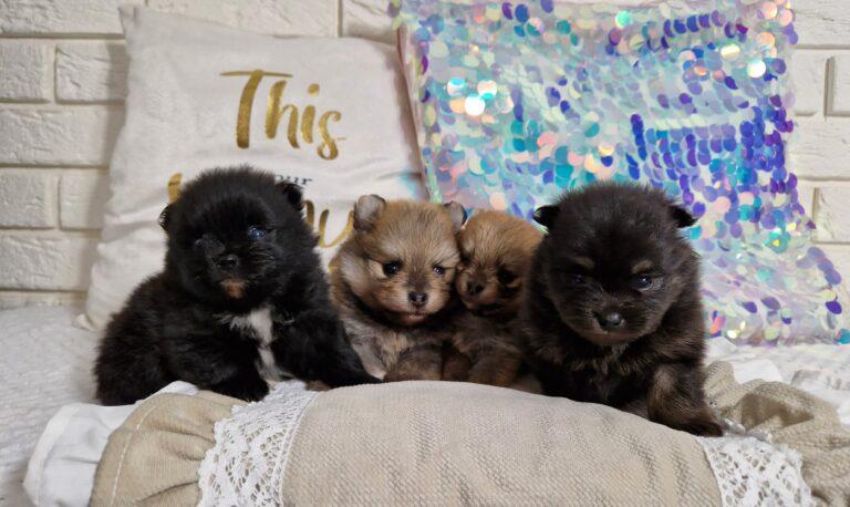 20240523 1323470 scaled