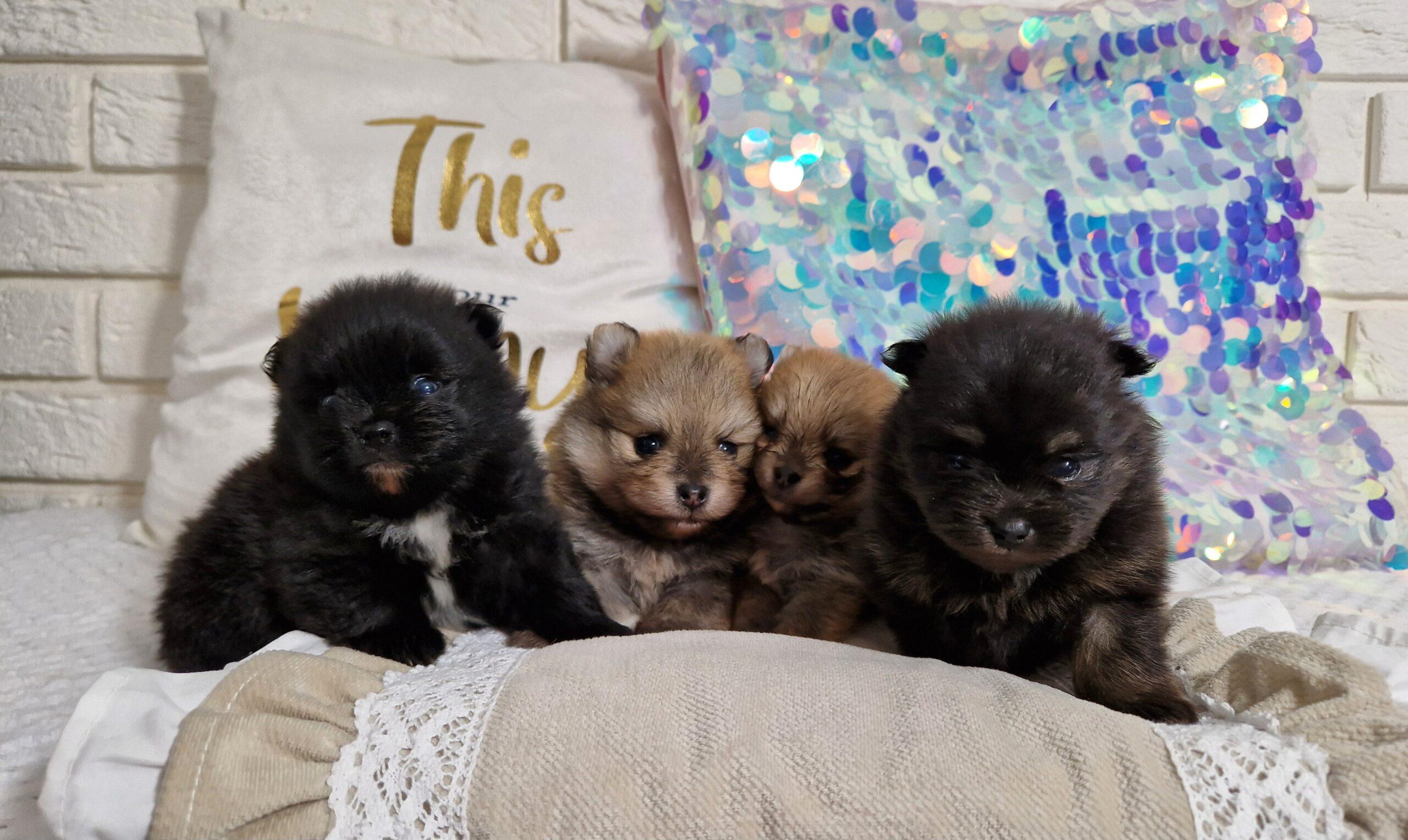 20240523 1323470 scaled