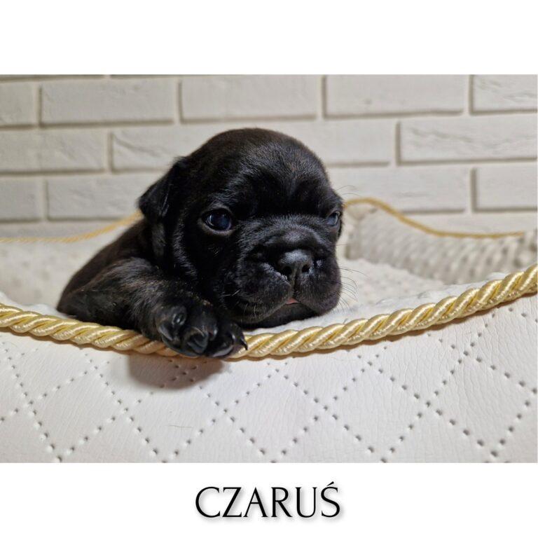 InFrame 1716635333905