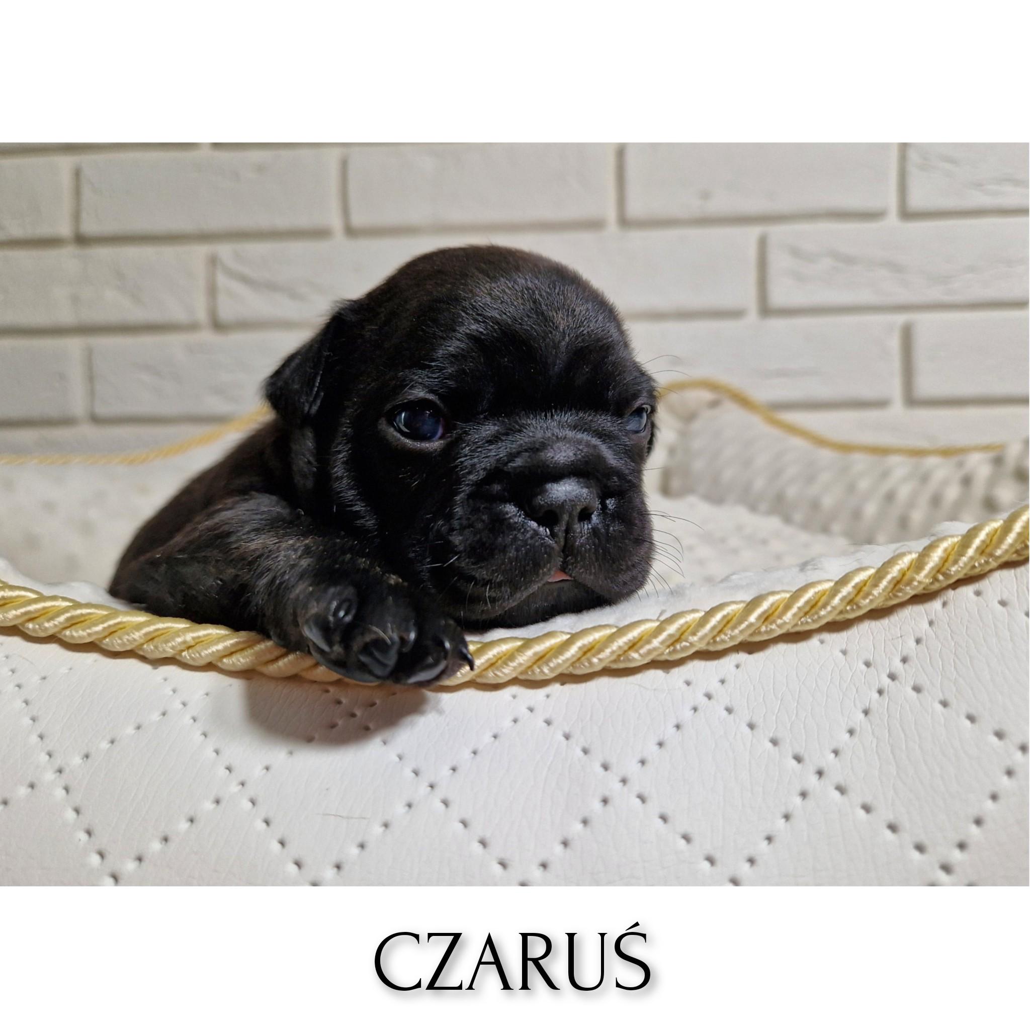 InFrame 1716635333905