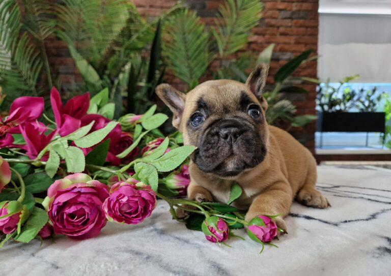 20240623 0726050 scaled