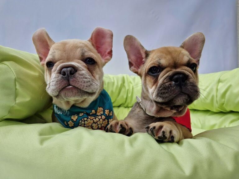 20240628 1101481 scaled