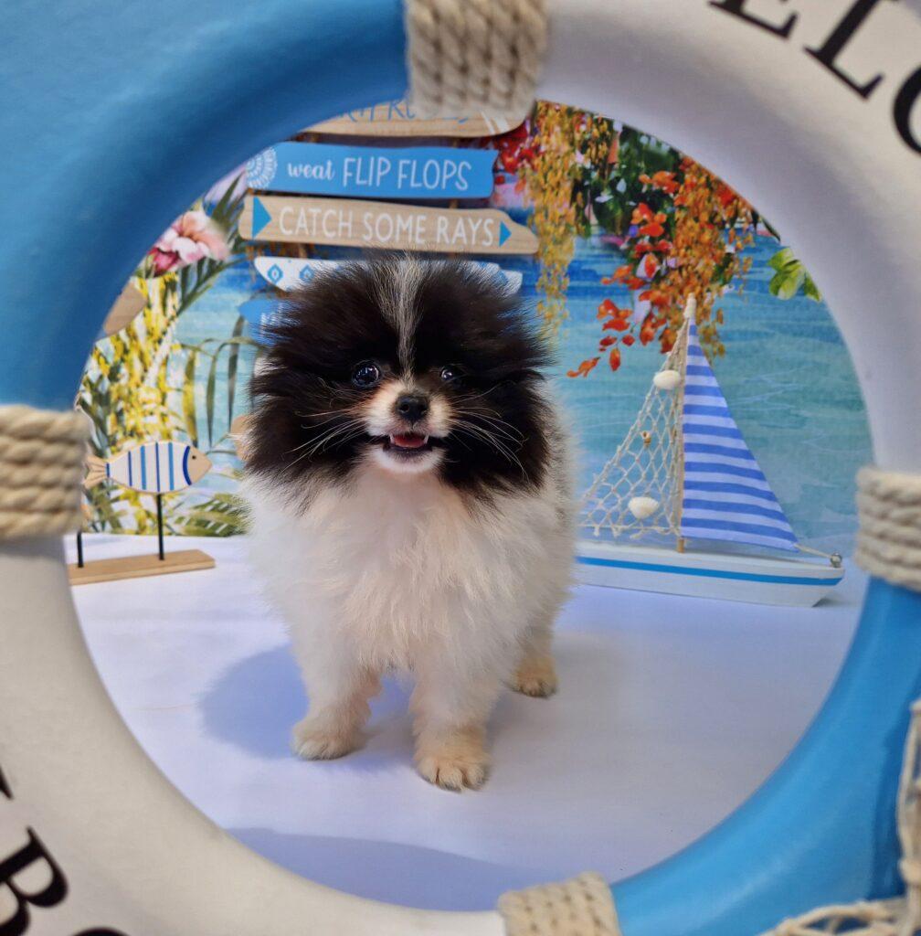 20240714 123431 resized scaled