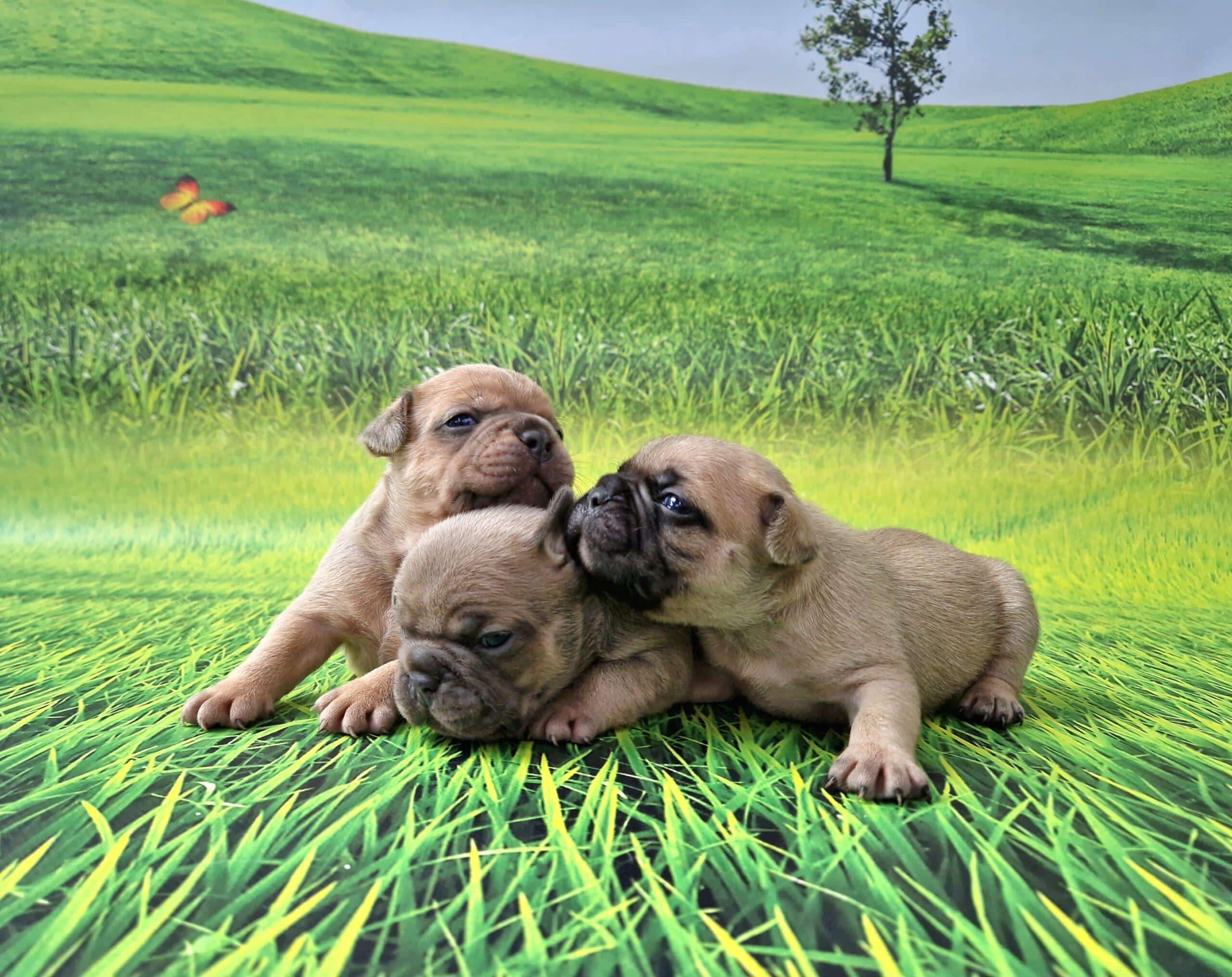 20240729 095439 022 saved scaled