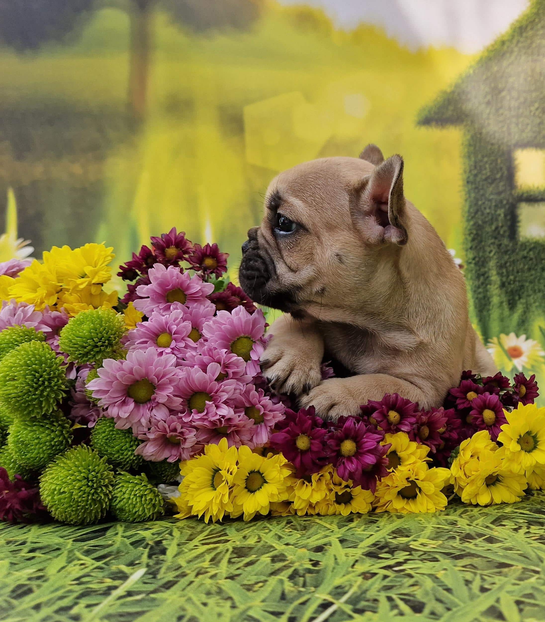 20240818 134623 resized 1