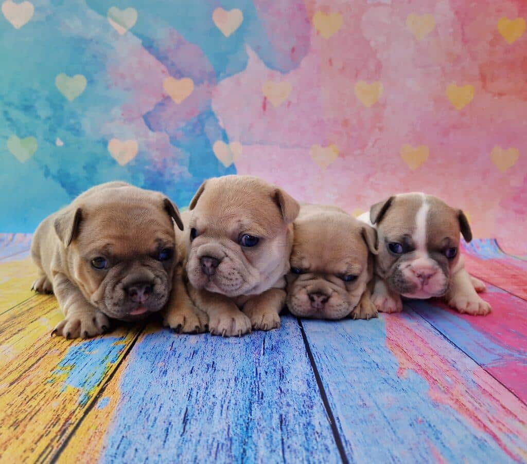 20240905 135140 001 resized scaled