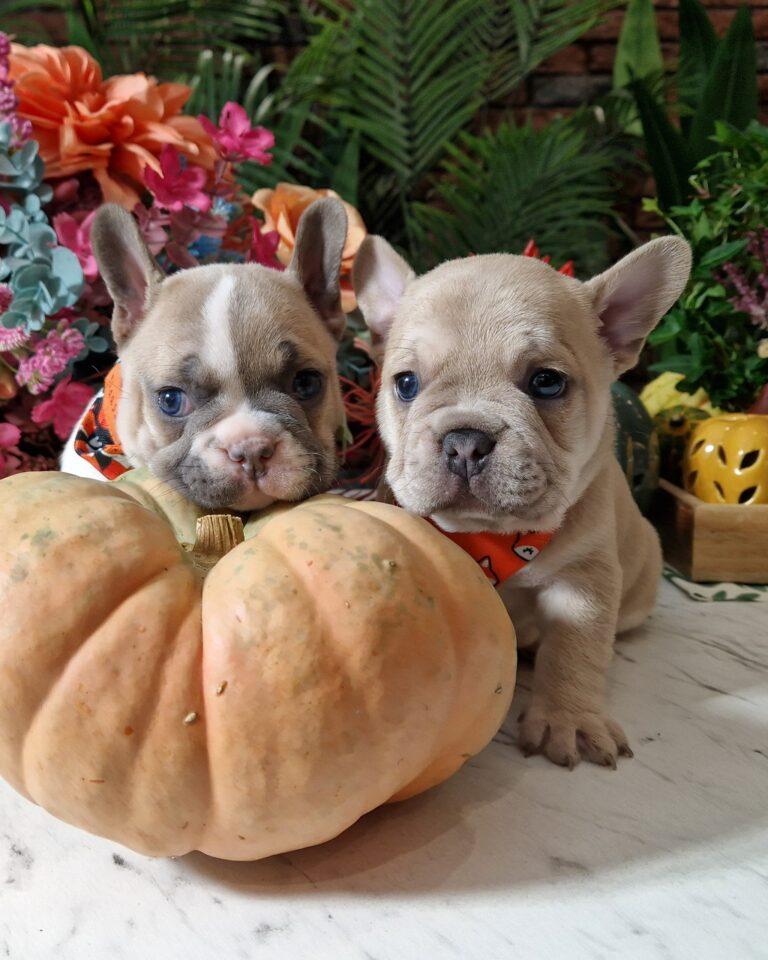 20240915 122614 resized 2