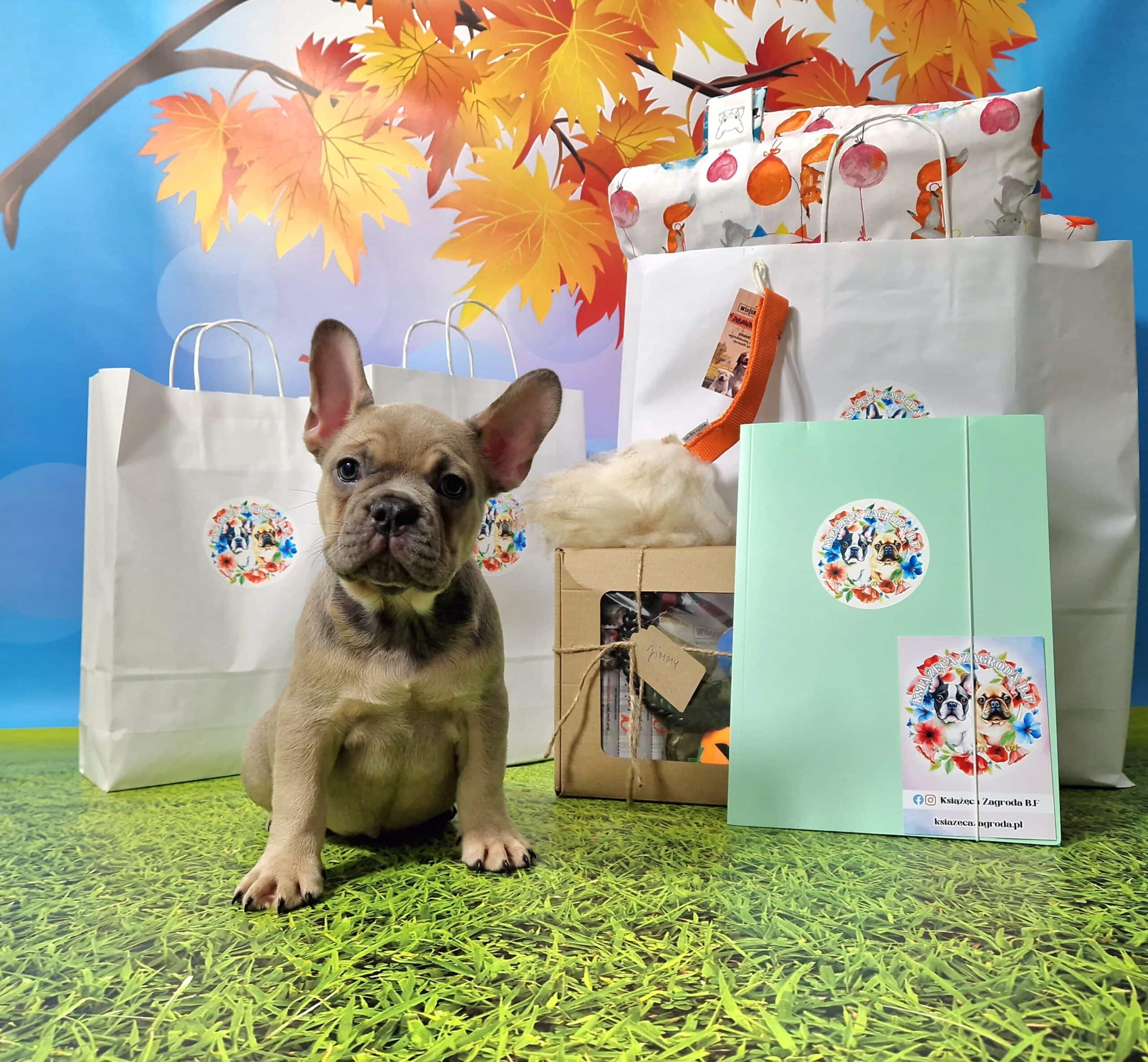 20241011 160606 049 saved scaled