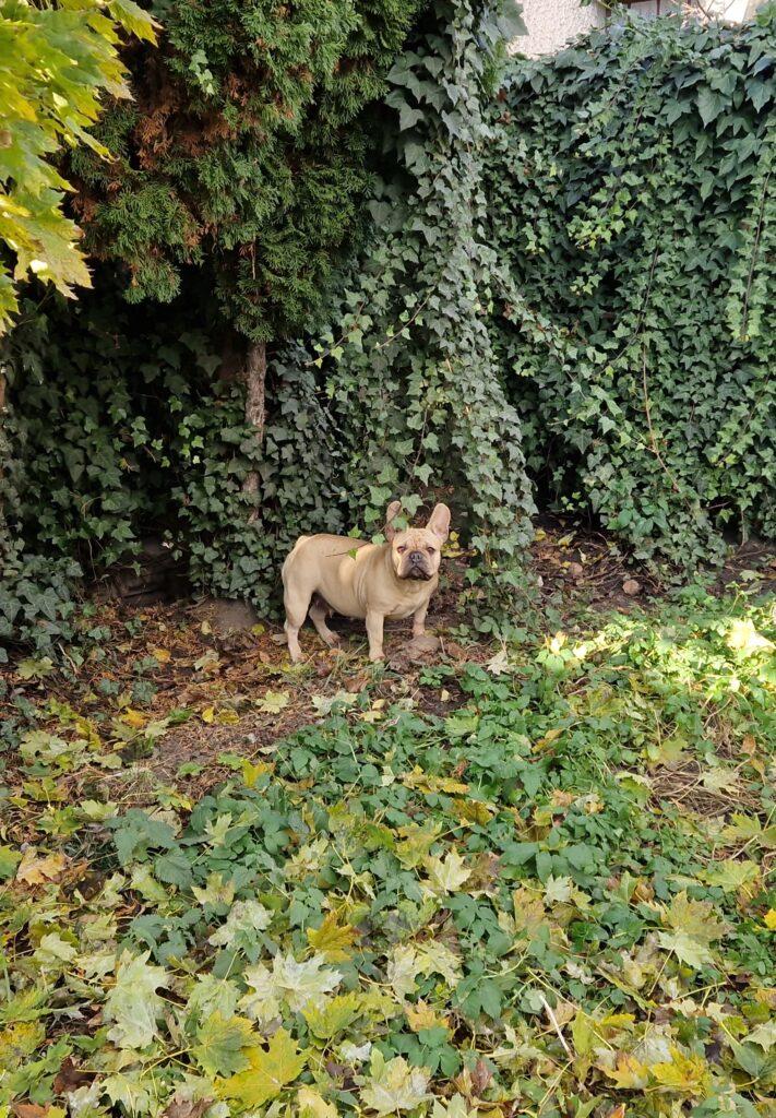 20241121 133716 010 resized