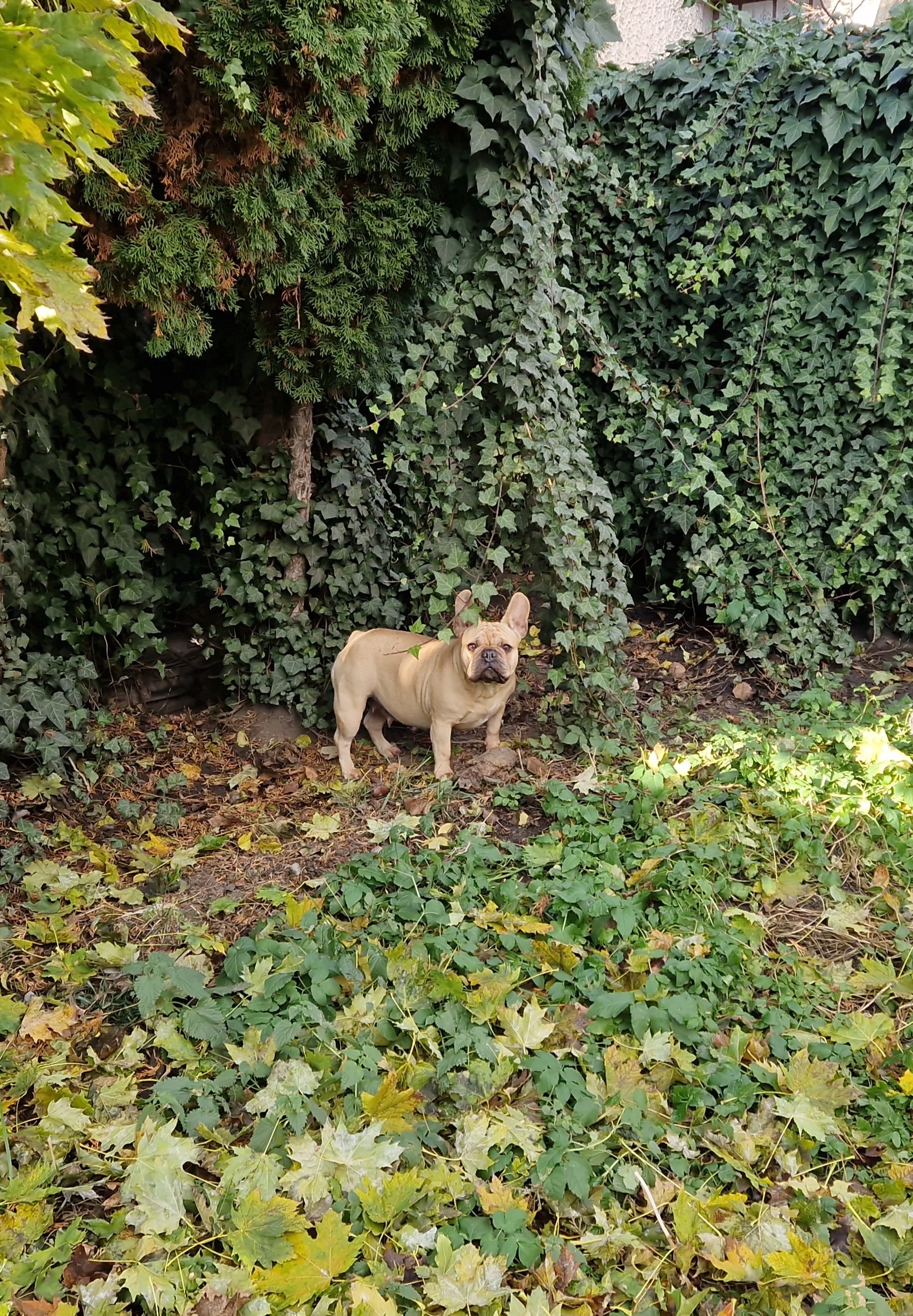 20241121 133716 010 resized