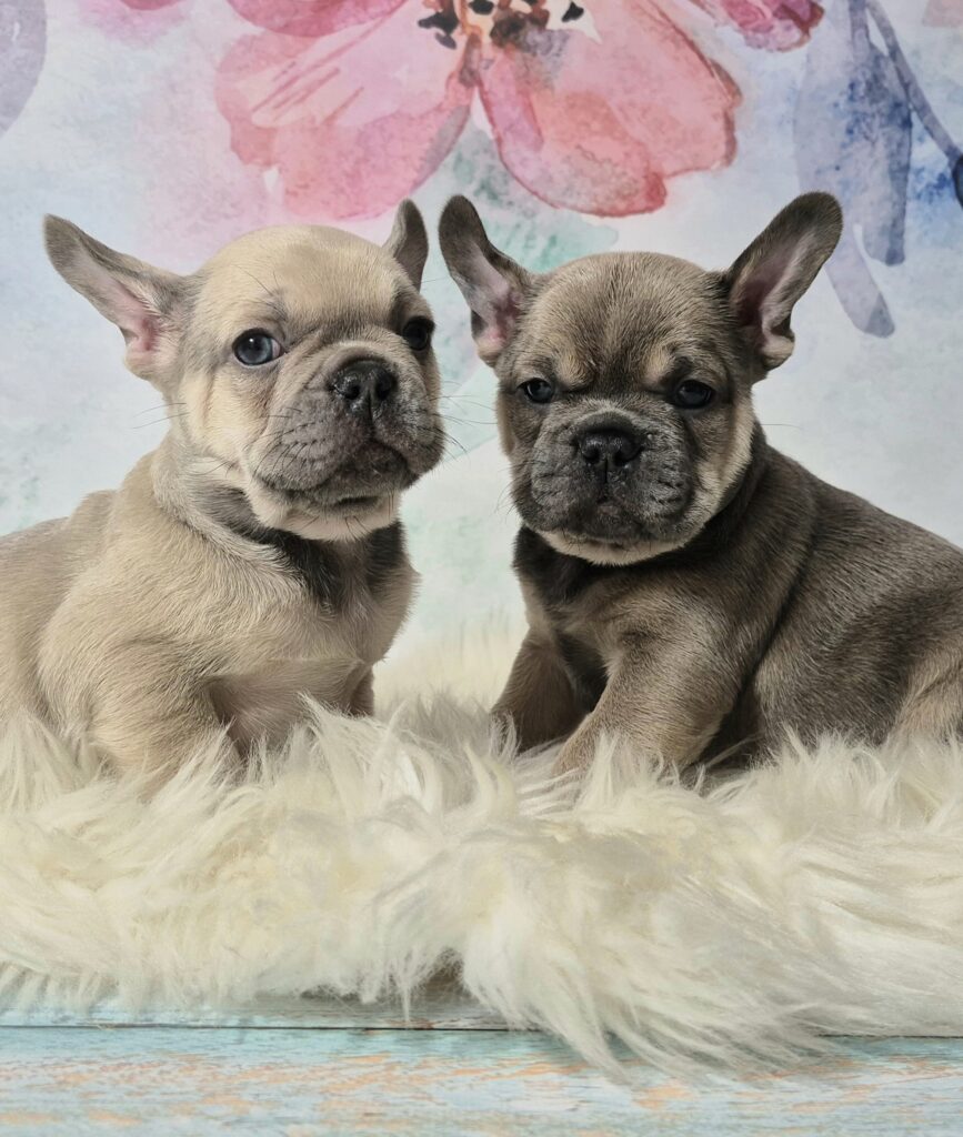 20250116 061004(0) resized