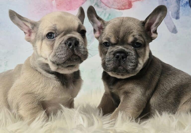 20250116 061004(0) resized