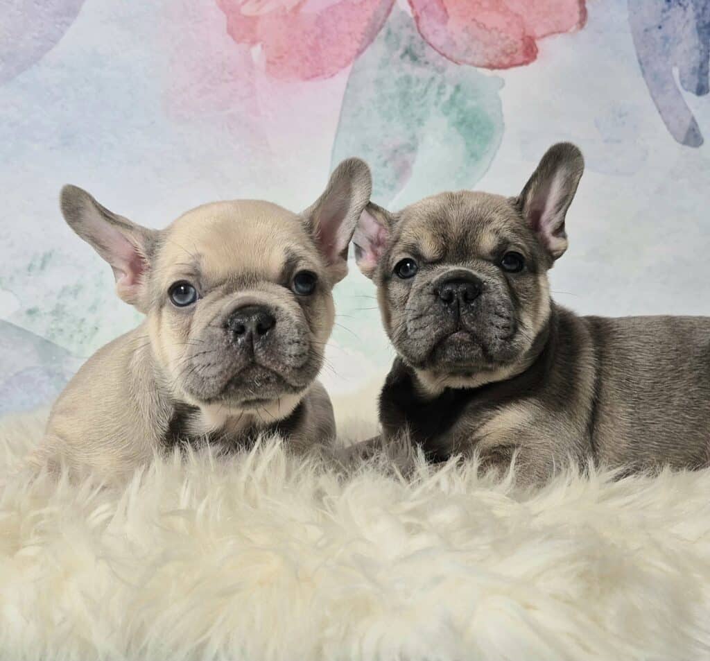 20250116 061226 resized