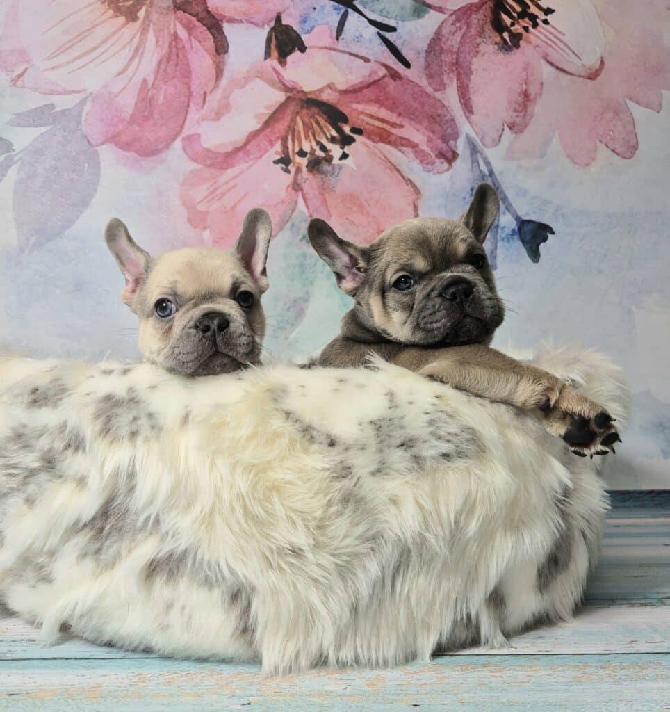 20250116 062013 resized