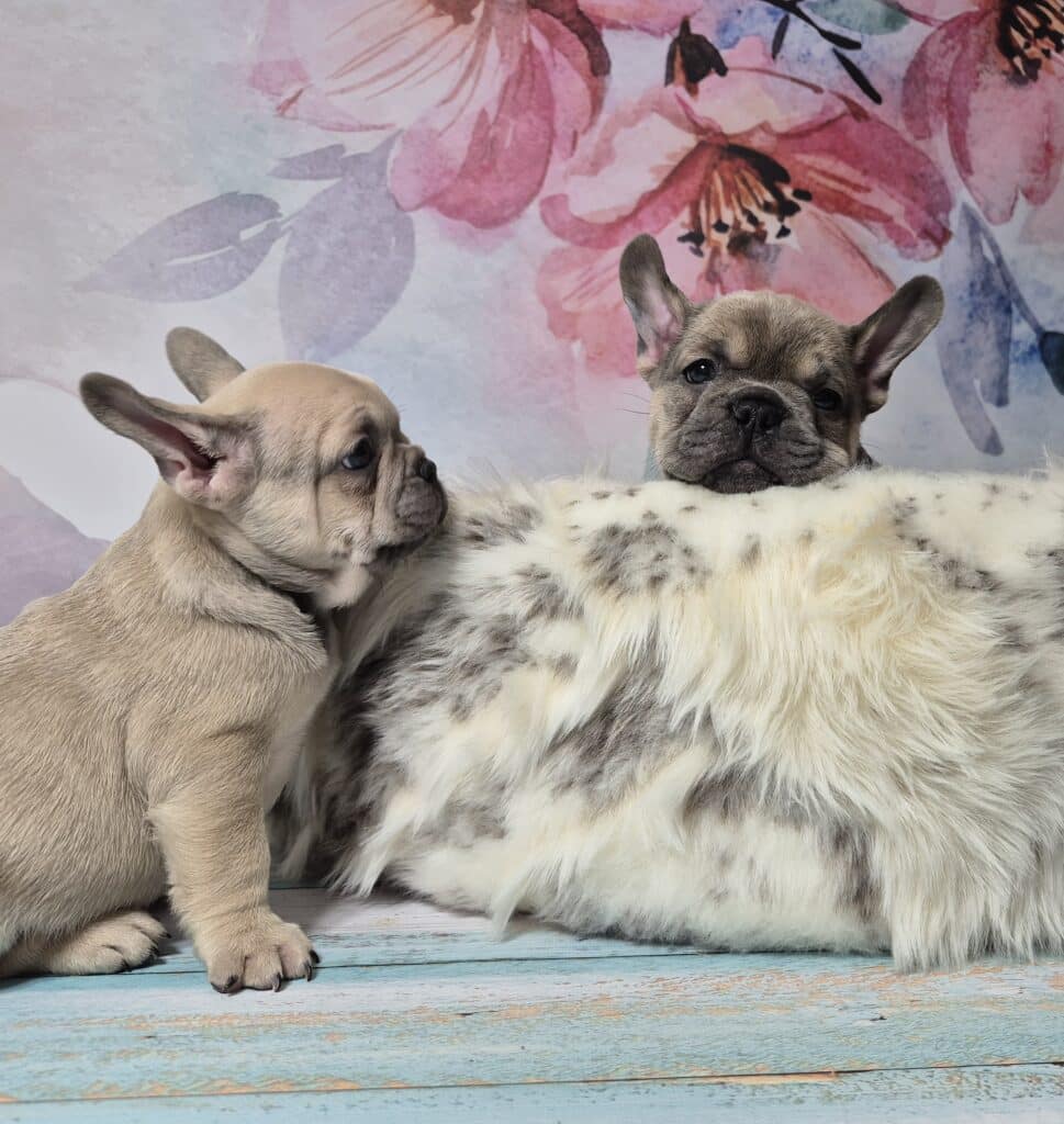 20250116 062214(0) resized