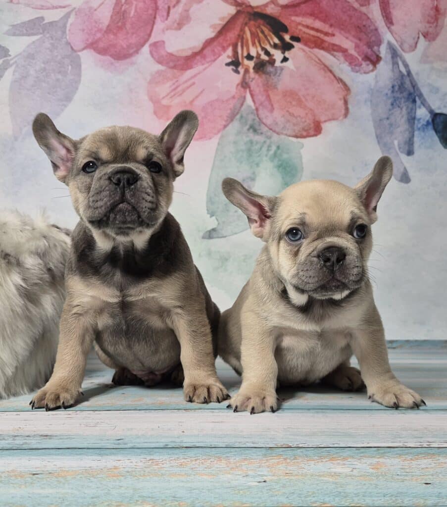 20250116 062452 resized