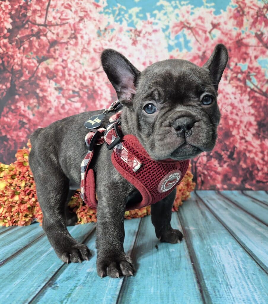 20250112 121227 resized