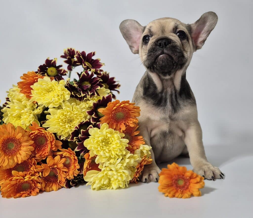 20250131 124009 resized