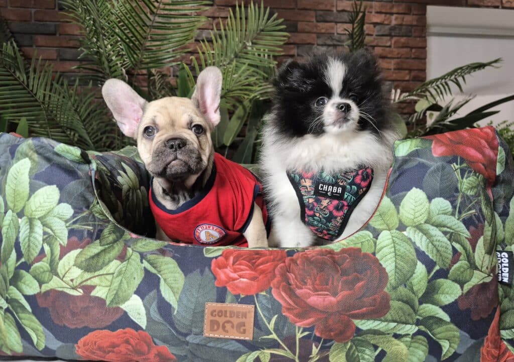 20250206 082547 066 saved