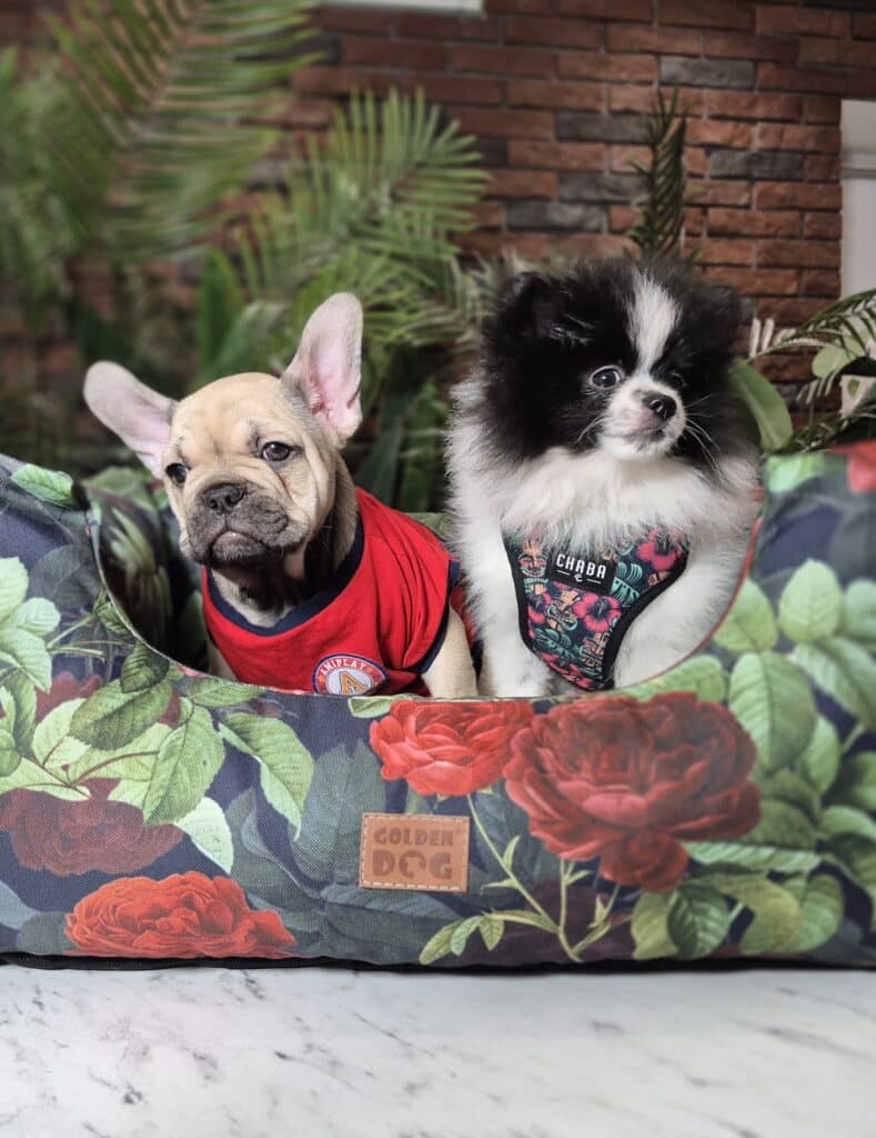 20250206 082606 resized