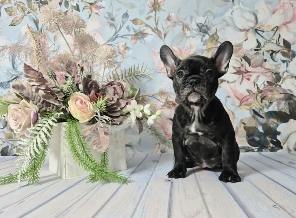 20250206 143502 062 saved