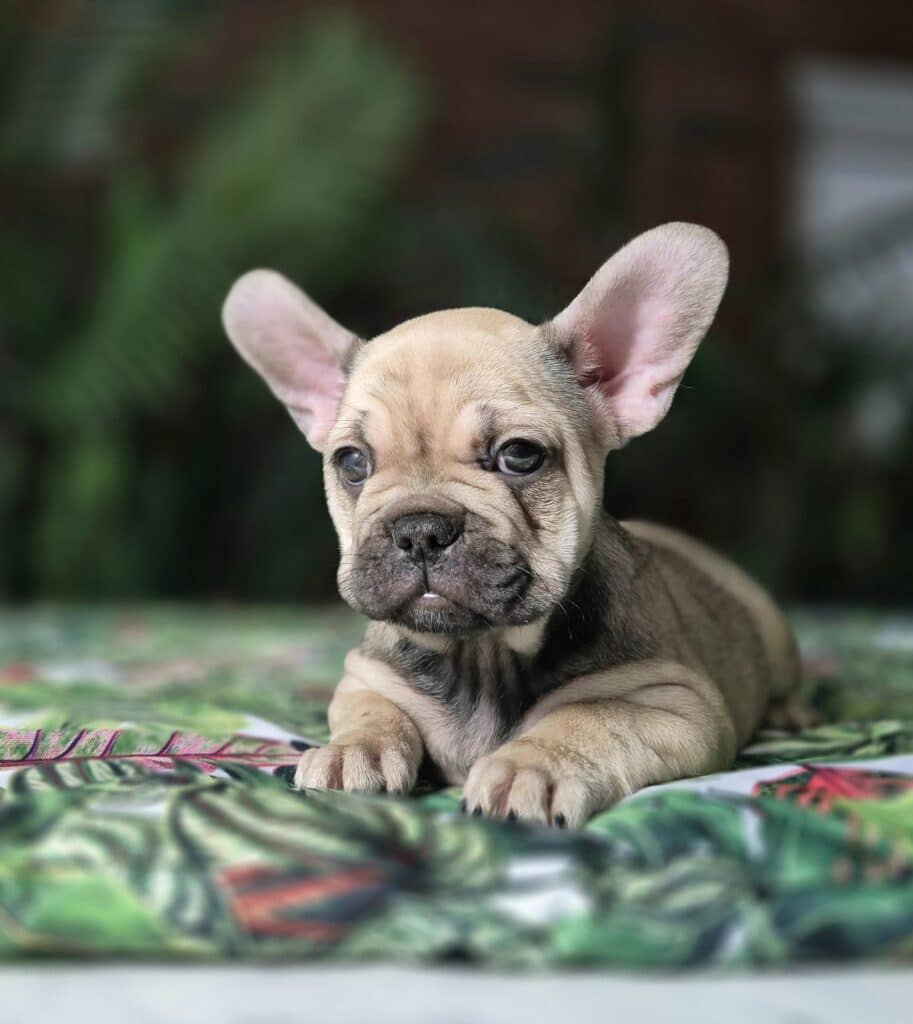 20250207 085331 resized