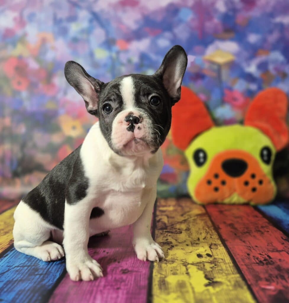 20250209 071434 resized