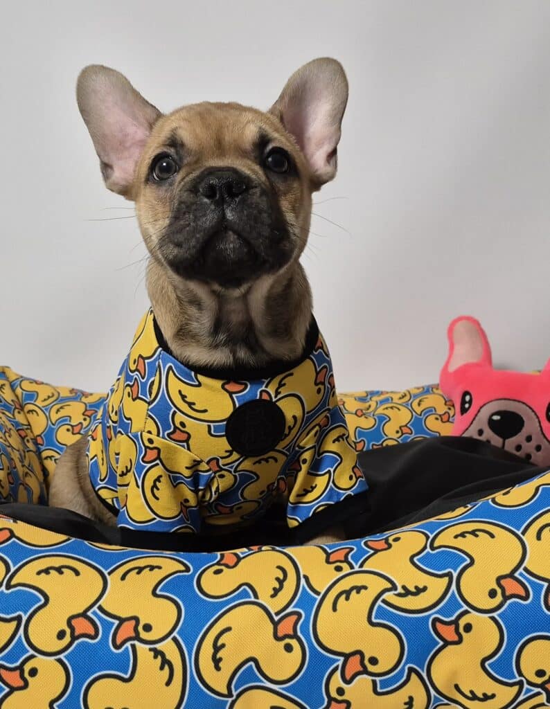 20250214 141109 042 resized