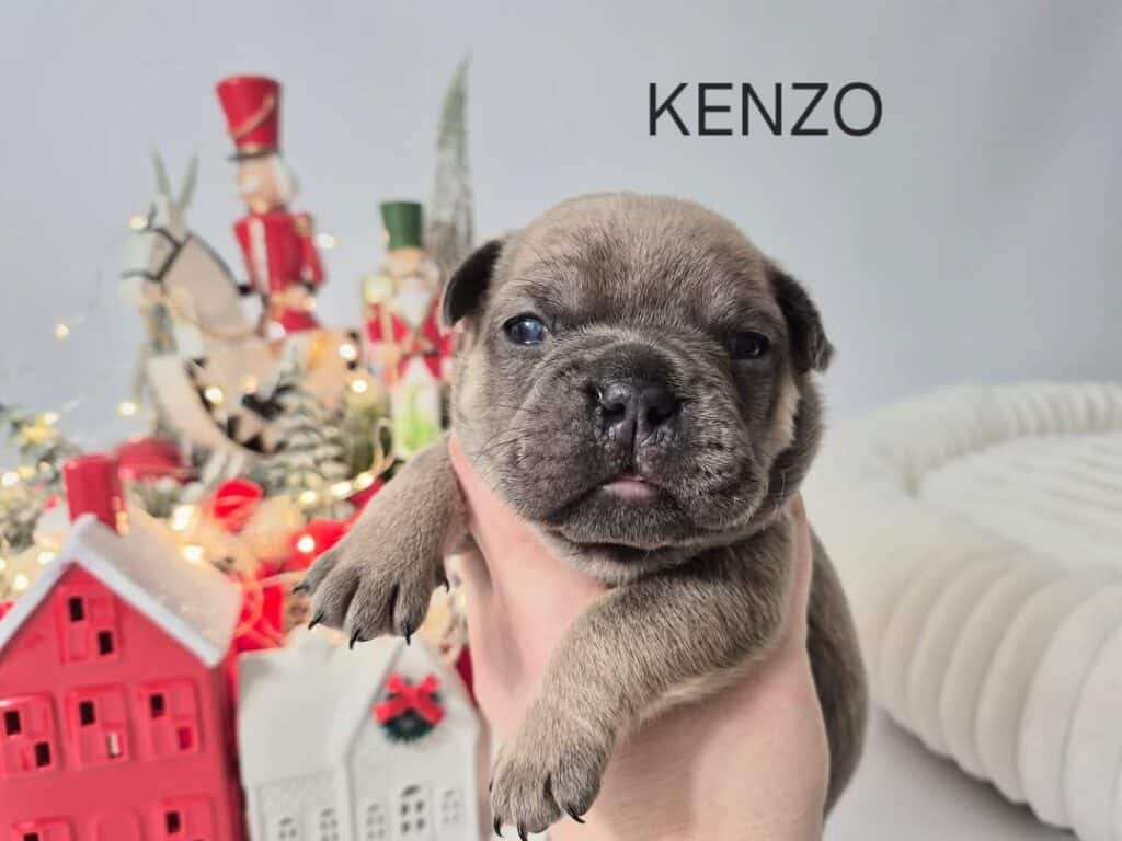 FB IMG 1740221014733