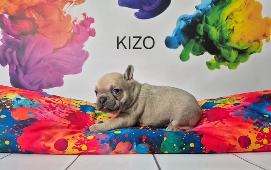 FB IMG 1740221047408