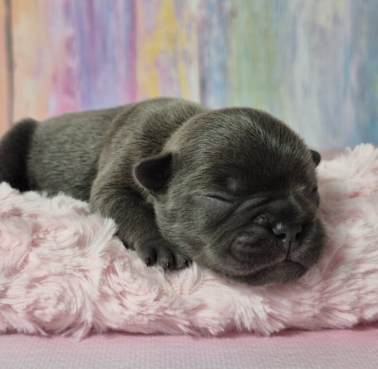 485695424 652943140818387 5917356834316374760 n