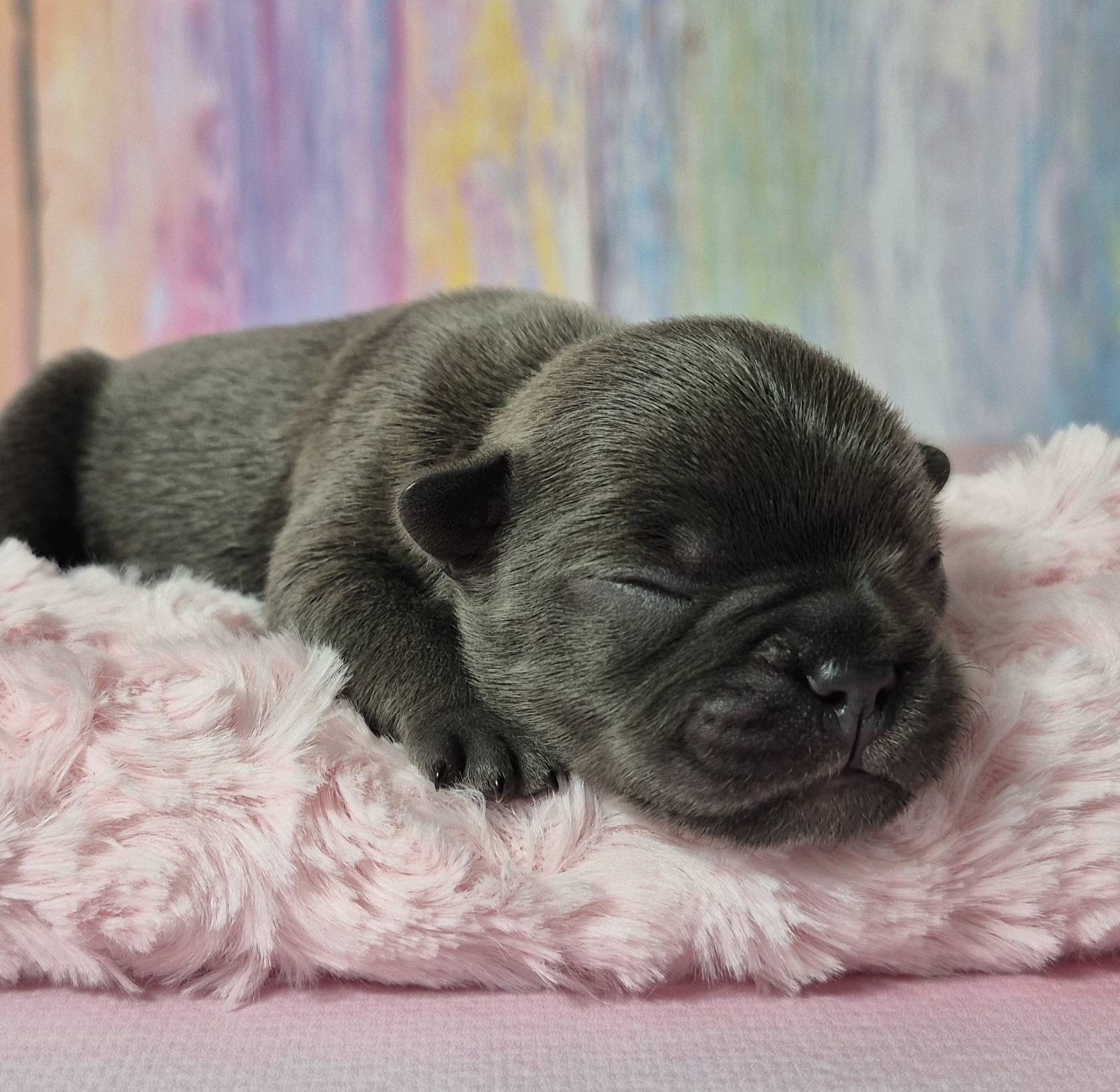 485695424 652943140818387 5917356834316374760 n