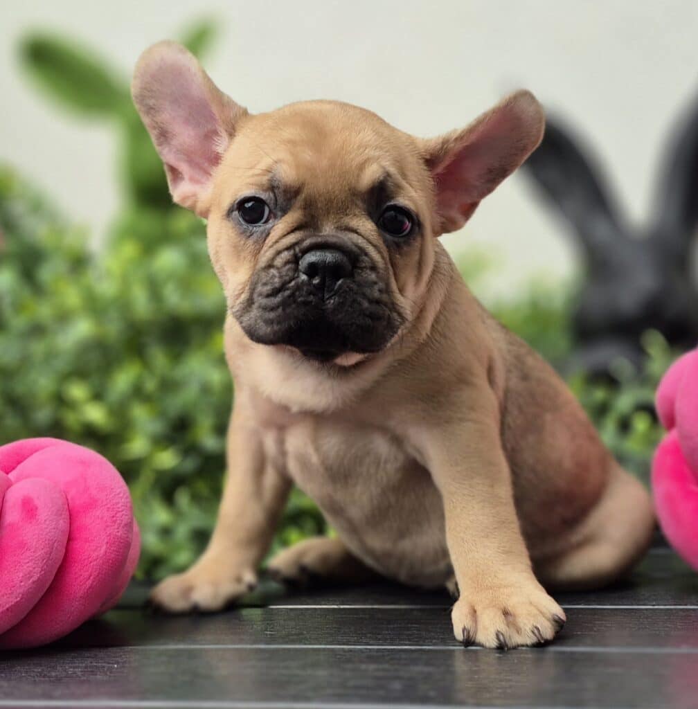 20250414 1438160 resized