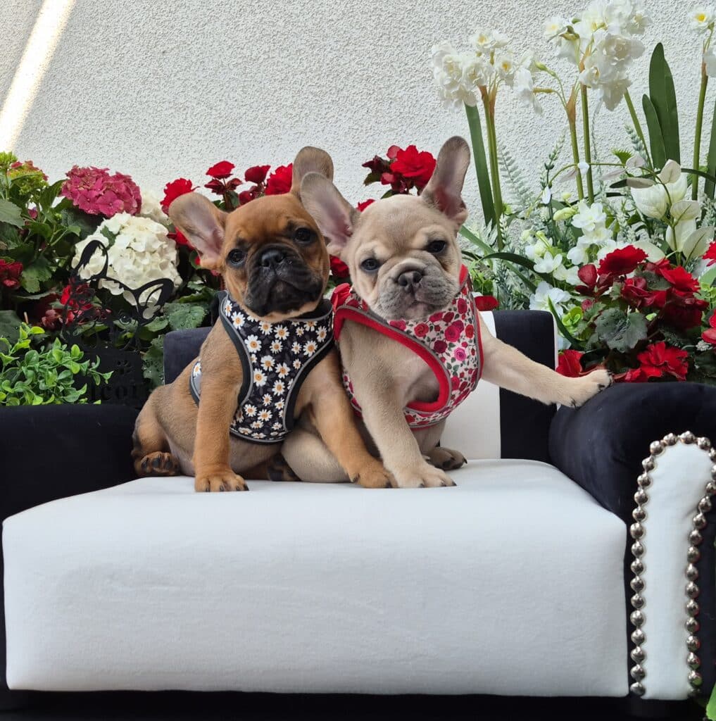 20250503 110725 resized