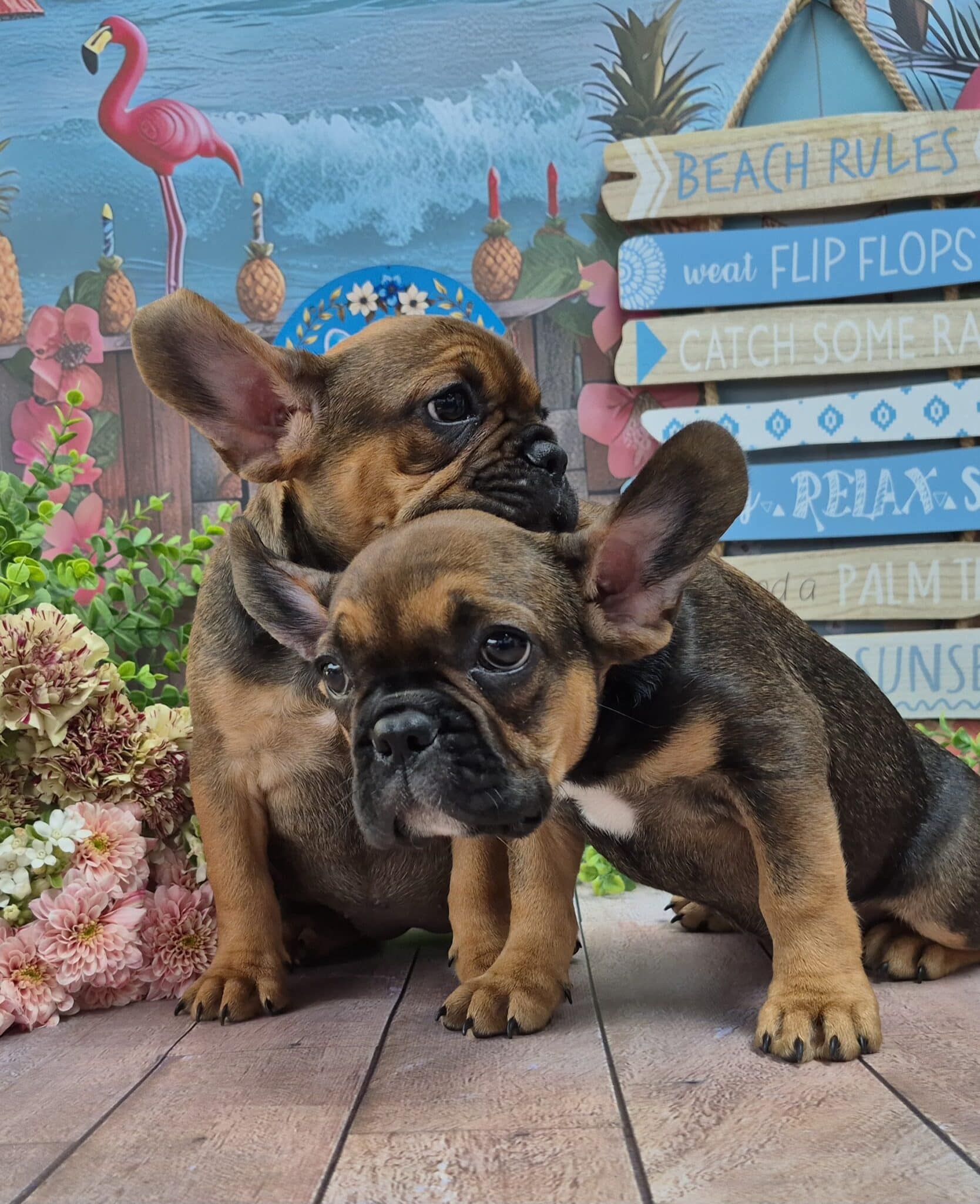 #site_title #image_title