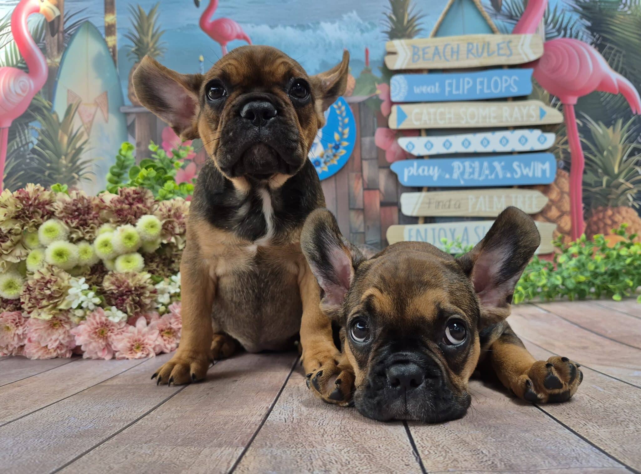 #site_title #image_title