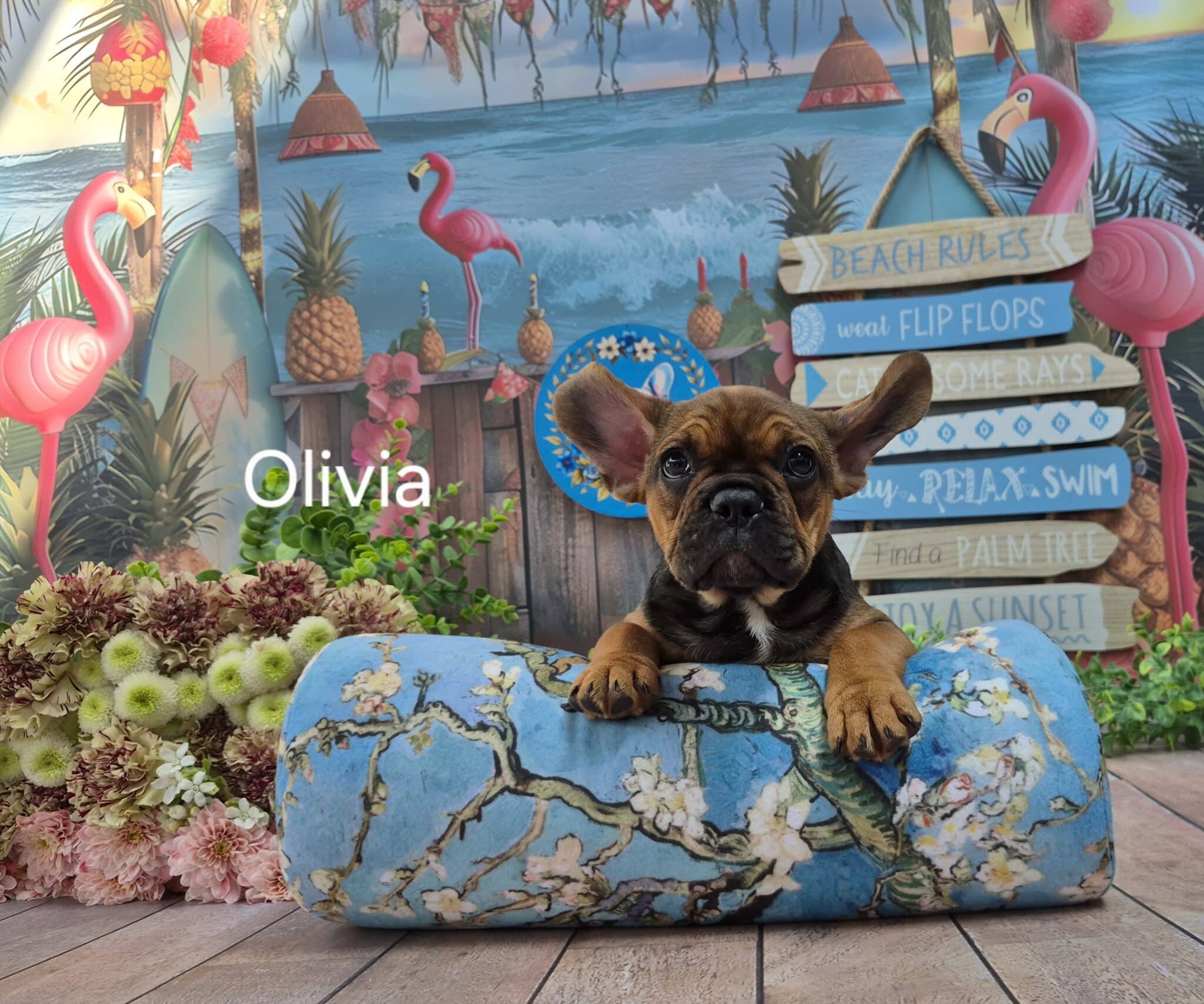 #site_title #image_title