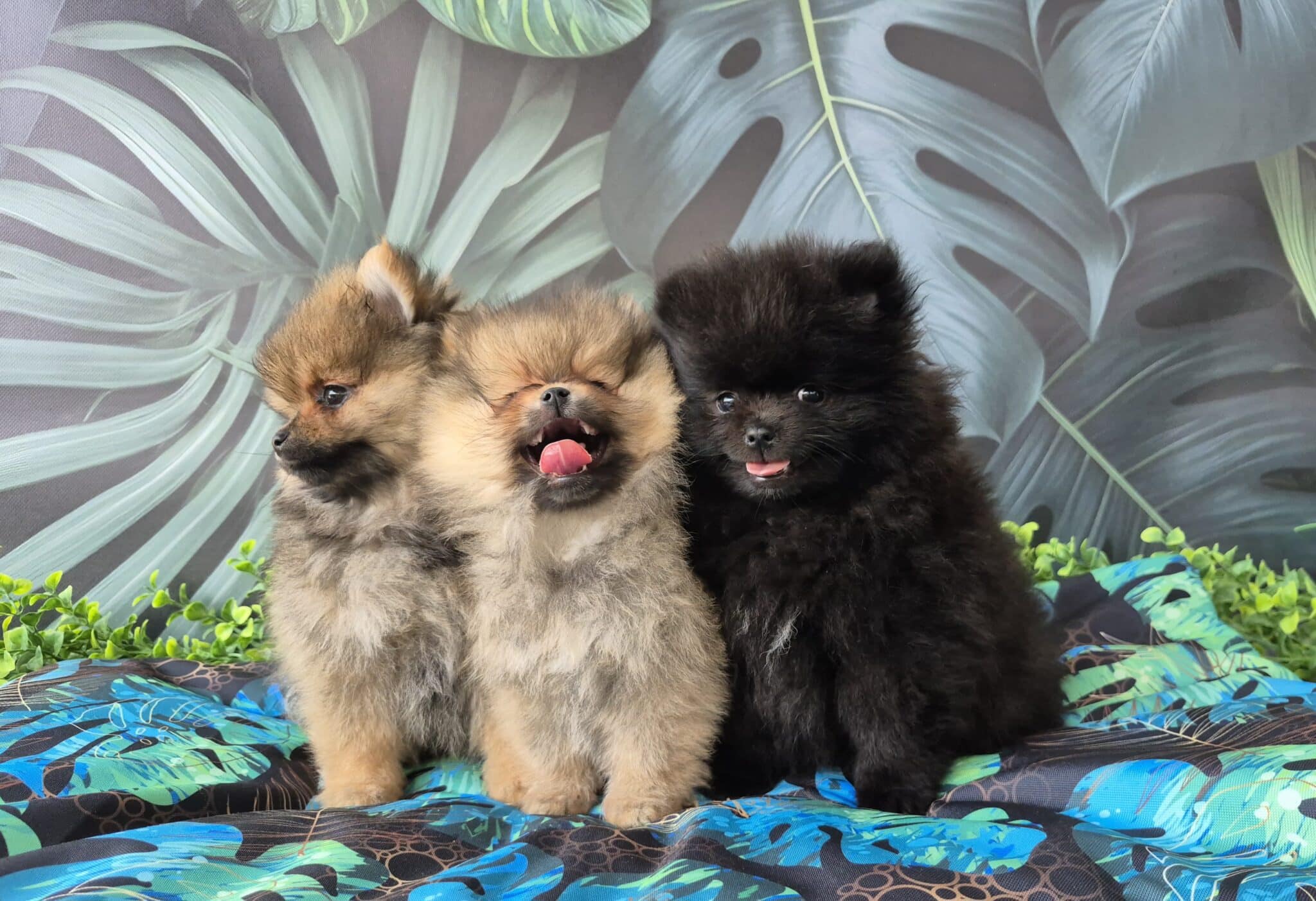 20250816 111414 016 saved