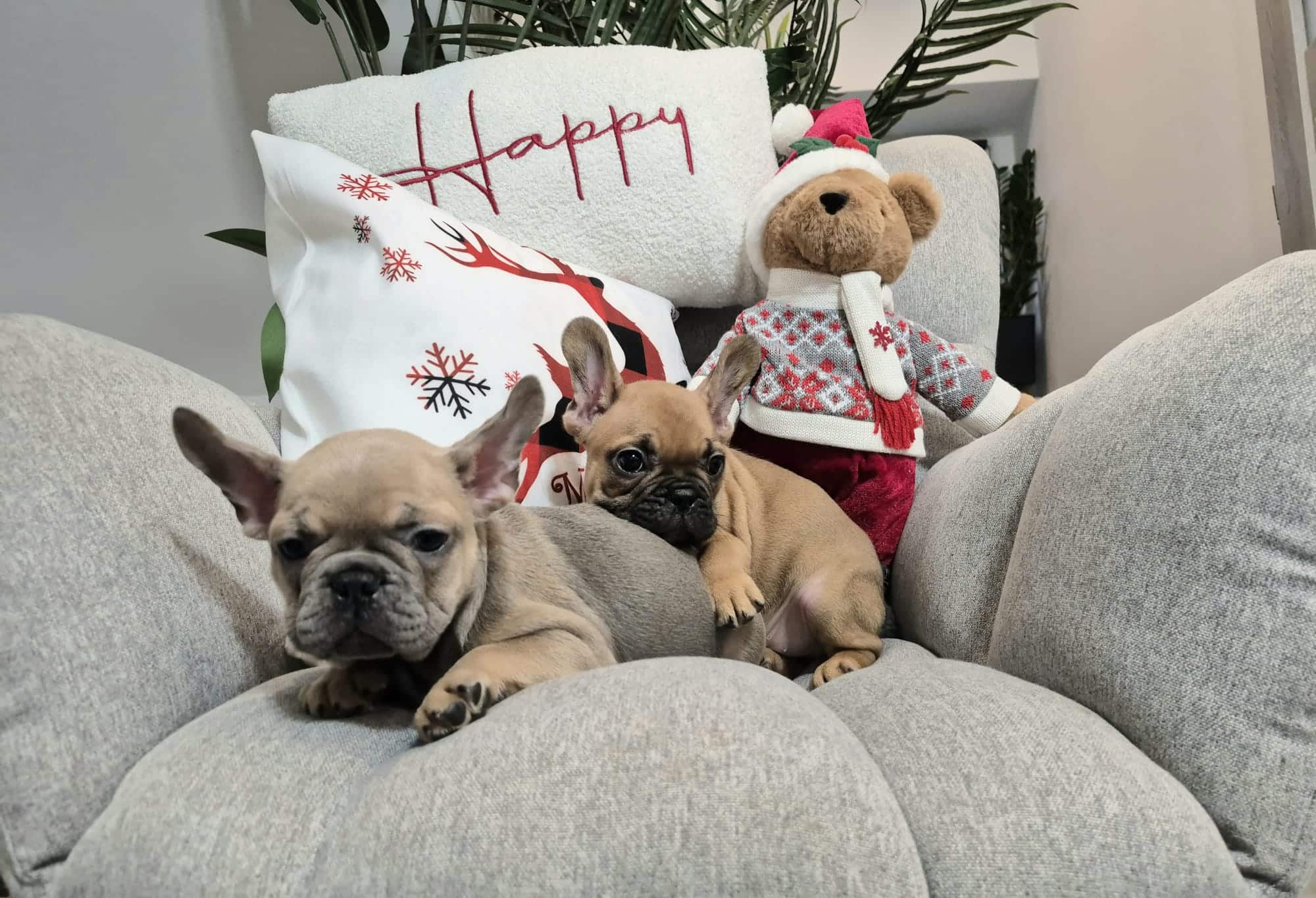 #site_title #image_title