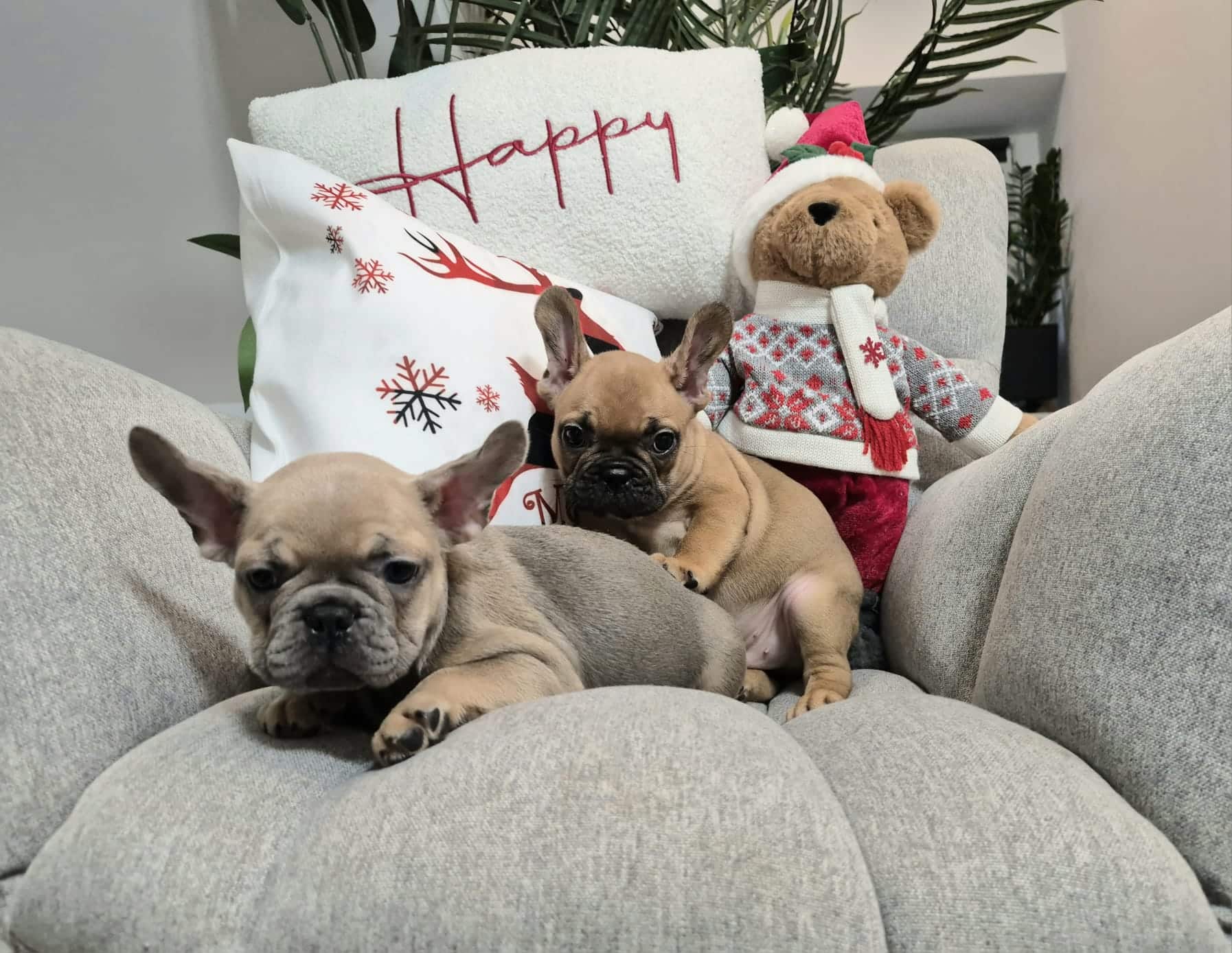 #site_title #image_title