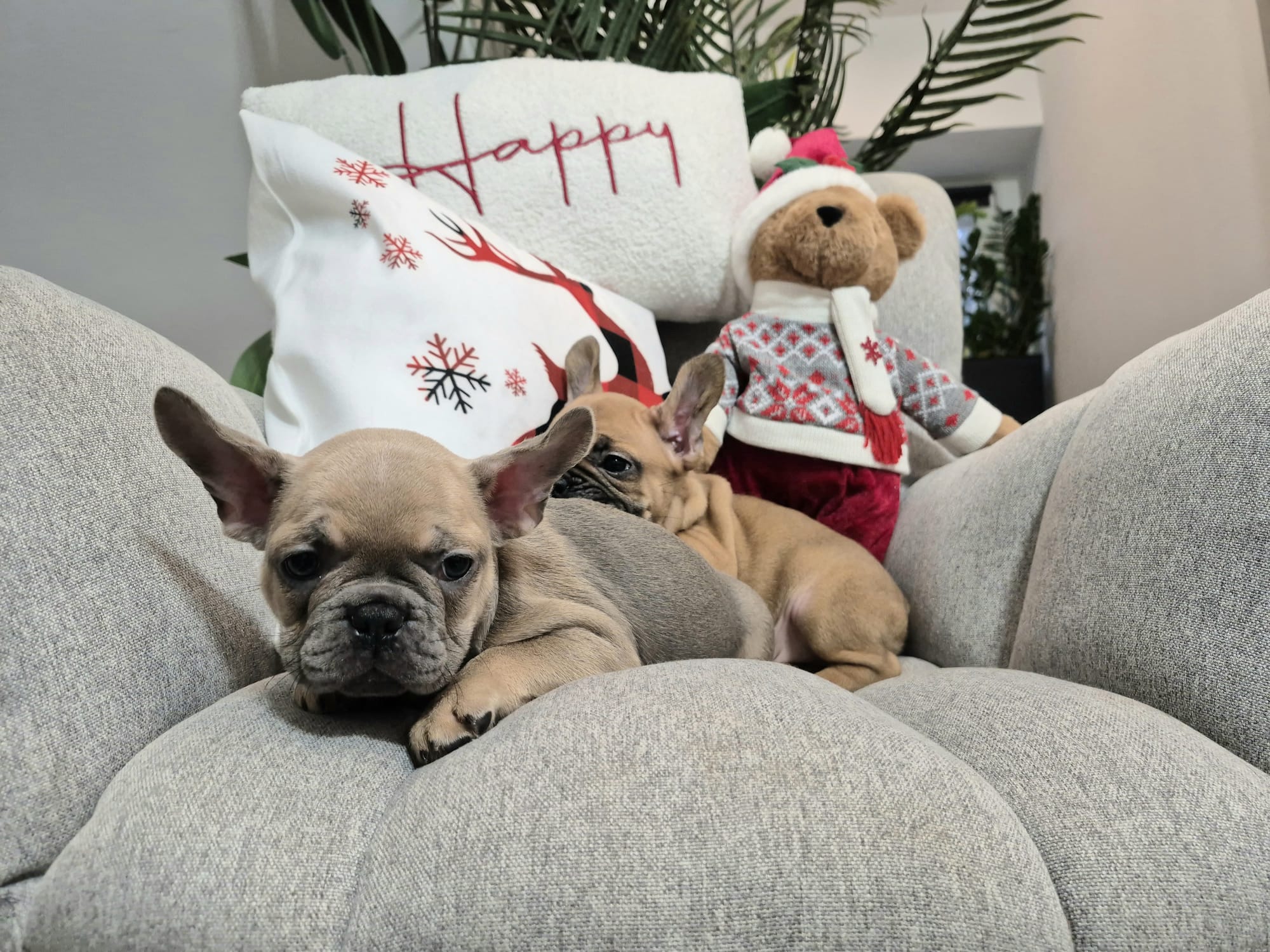 #site_title #image_title