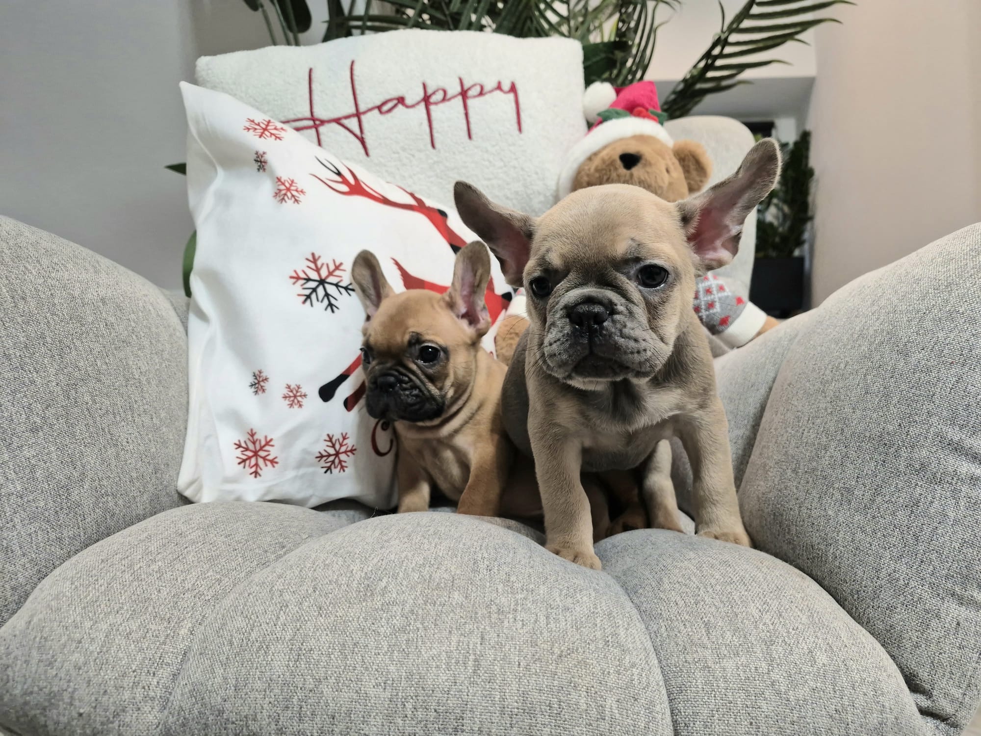 #site_title #image_title