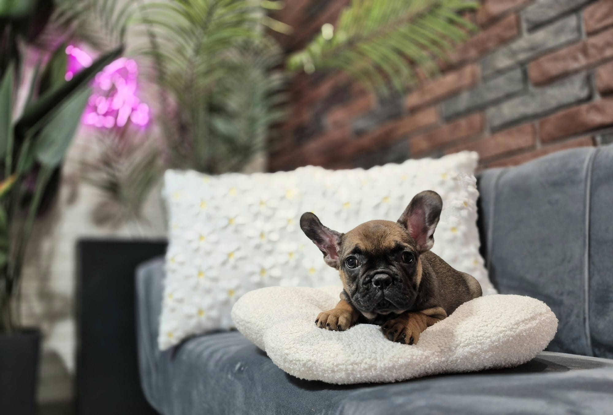 WhatsApp Image 2026-01-22 at 07.17.45 (1)