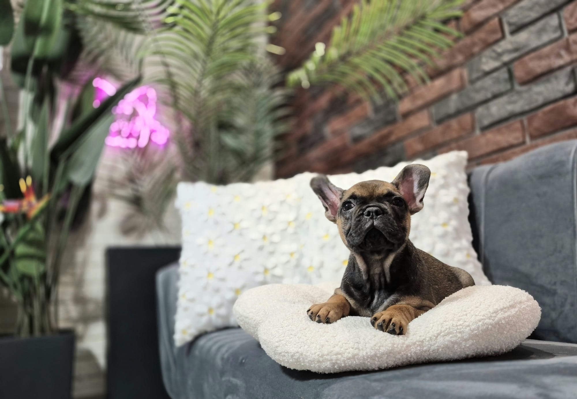 WhatsApp Image 2026-01-22 at 07.17.45 (2)